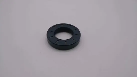 Stainless Steel PTFE Oil Seal Screw Type Air Compressor Oil Seal 