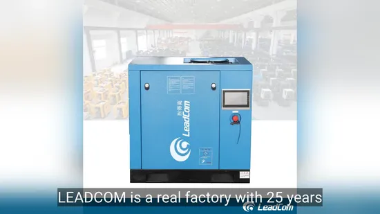 Heavy Duty Industrial Air Compressor with Variable Speed and Economic Design 