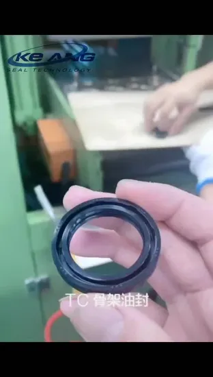 Rotating Shaft Single Lip NBR FKM/Viton Sc Oil Seal for Air Compressor 