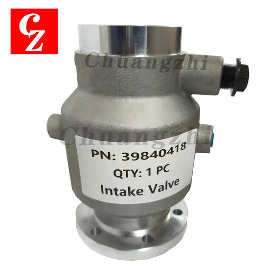 Intake Valve 39840418 for Ingersoll Rand Air Compressor with Good Quality 