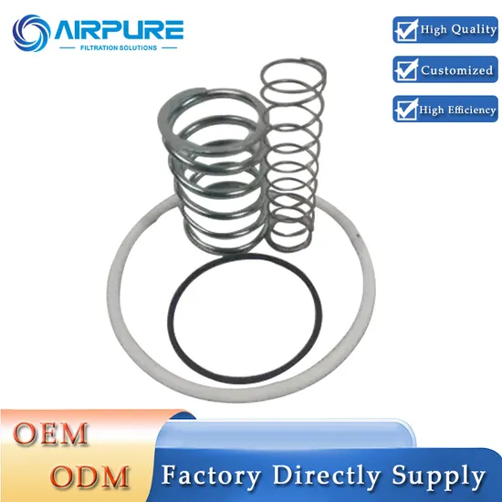 Air Compressor Inlet Valve Repair Kit 250031