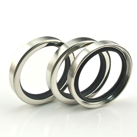 PTFE Stainless Steel Rotary Lip Air Compressor PTFE Oil Seal Shaft Seal for Pumps Engine Mixers Actuators 