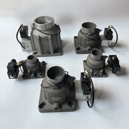 Intake Valve Aiv