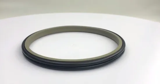 China Supplier Oil BS Rod Silicon PTFE Air Compressor Piston Cup Seals 
