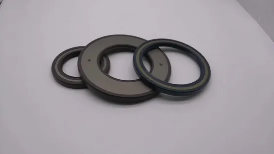 Stainless Steel Rotary Lip Air Compressor PTFE Oil Seal 